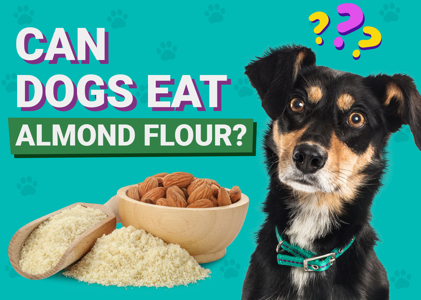 Can Dogs Eat Almond Flour? Vet-Verified Nutrition Facts & Portion Awareness – Dogster