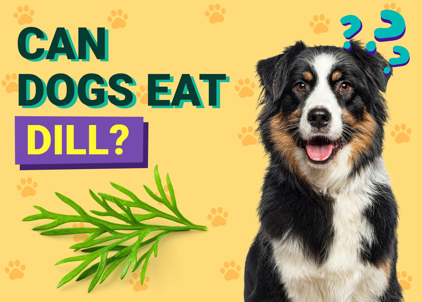 Can Dogs Eat Dill? Vet-Verified Nutrition Facts & Preparation Ideas – Dogster