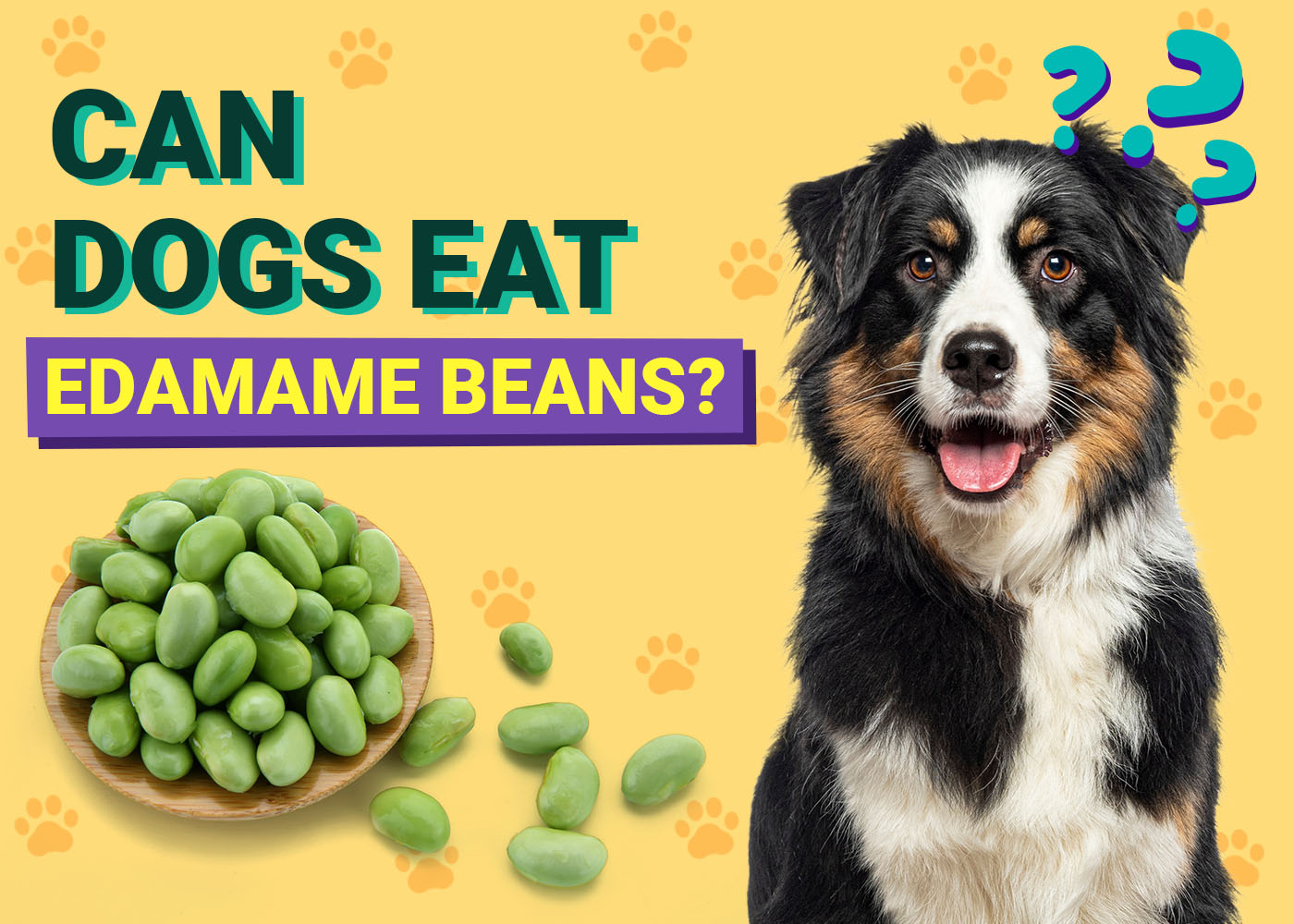 Can Dogs Eat Edamame Beans? Vet-Verified Nutrition Facts, Benefits & More – Dogster