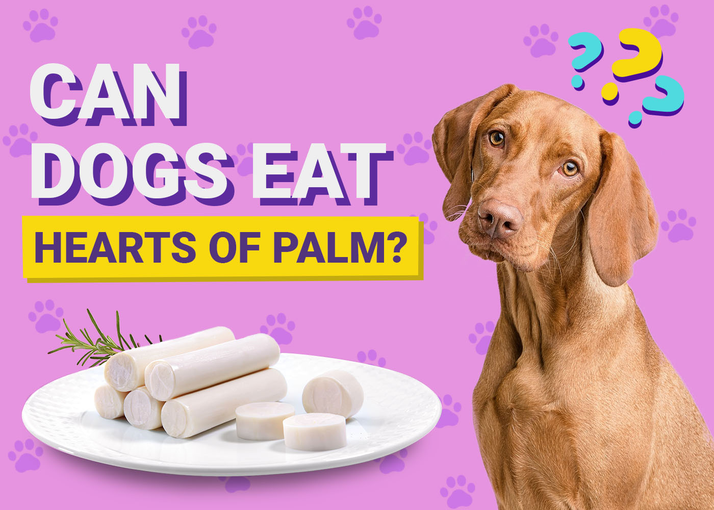 Can Dogs Eat Hearts of Palm? Vet-Verified Nutrition Facts & Considerations – Dogster