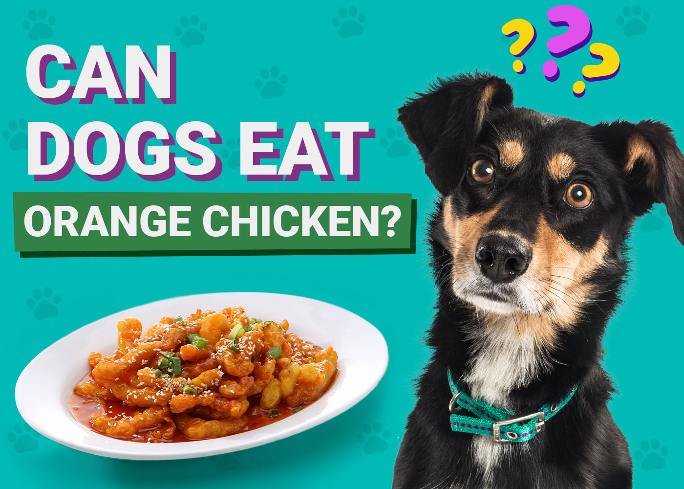 Can Dogs Eat Orange Chicken? Vet-Verified Facts & Better Alternatives – Dogster