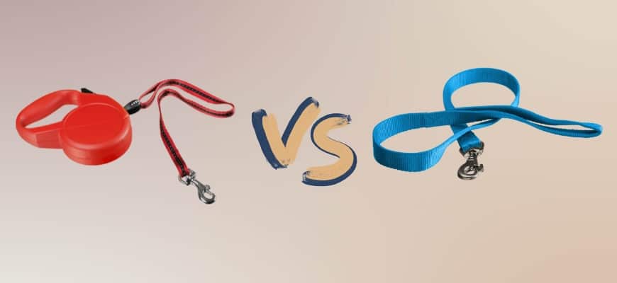 Retractable Leash vs. Regular Leash