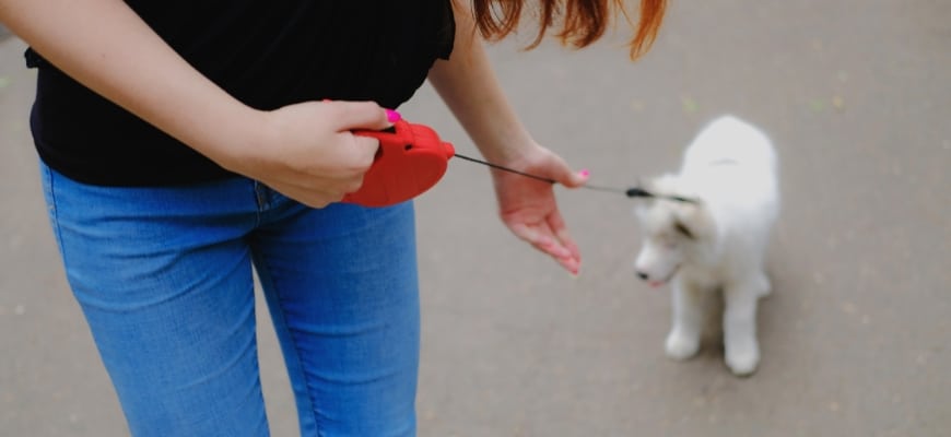 Fixing Your Retractable Dog Leash: A Step-by-Step Guide