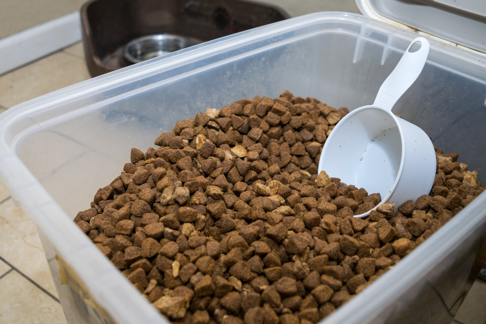 Can I Feed My Dog Store-Bought Kibble? Vet-Approved Nutrition Facts – Dogster