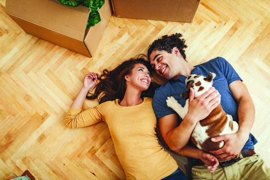 Moving House with Your Dog? 10 Tips to Make It Easier on Your Pooch