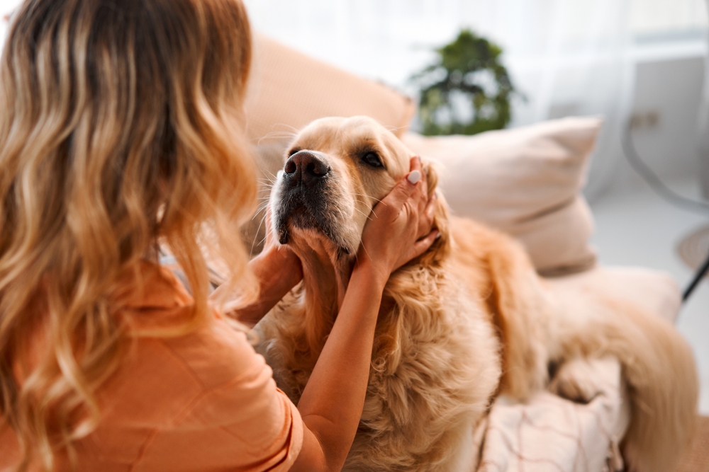 How Do I Know If My Dog Is Healthy? Our Vet Discusses 12 Ways to Tell – Dogster