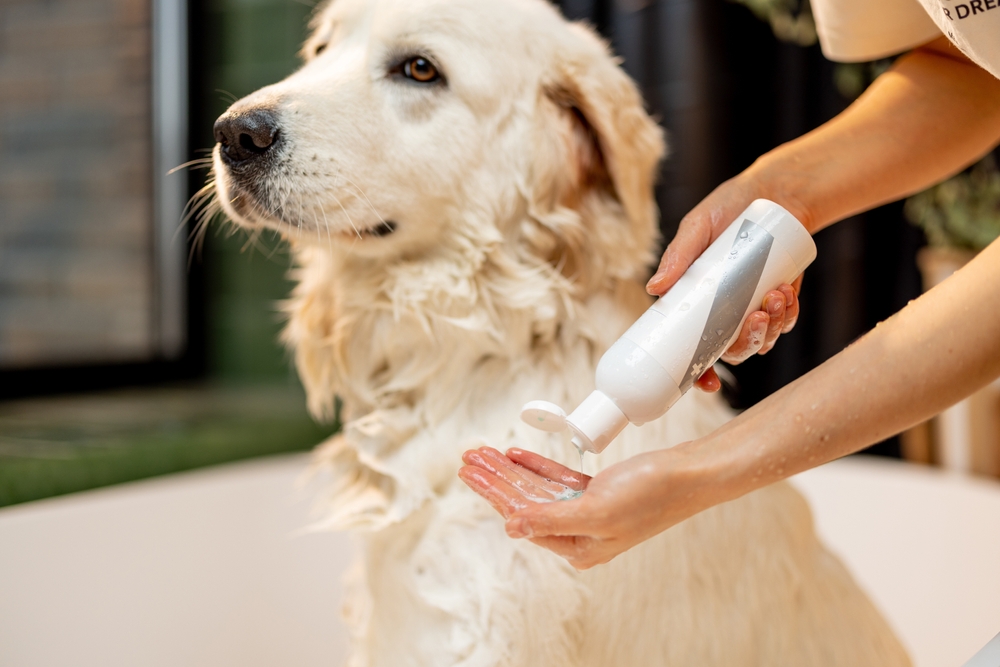 9 Best Oatmeal Shampoos for Dogs in 2024